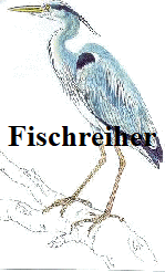 Fischreiher