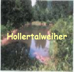 Hollertalweiher