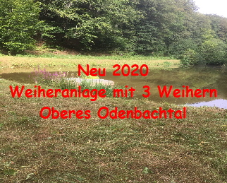 Neu 2020
Weiheranlage mit 3 Weihern
Oberes Odenbachtal