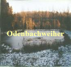 Odenbachweiher