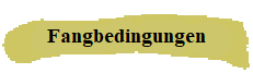 Fangbedingungen